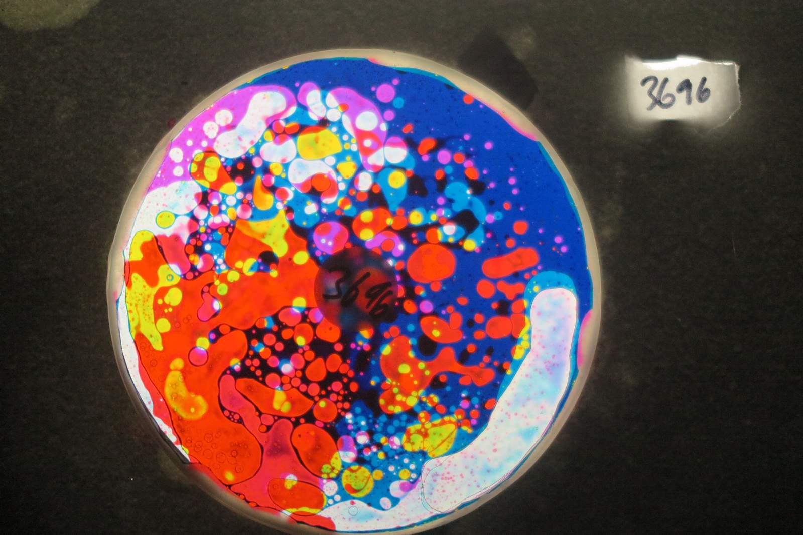 BV3696 bubble vision oil wheel